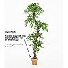 Product Photo 2