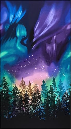 Timeless Treasures Aurora Borealis - Panel de tela (24 pulgadas), multicolor