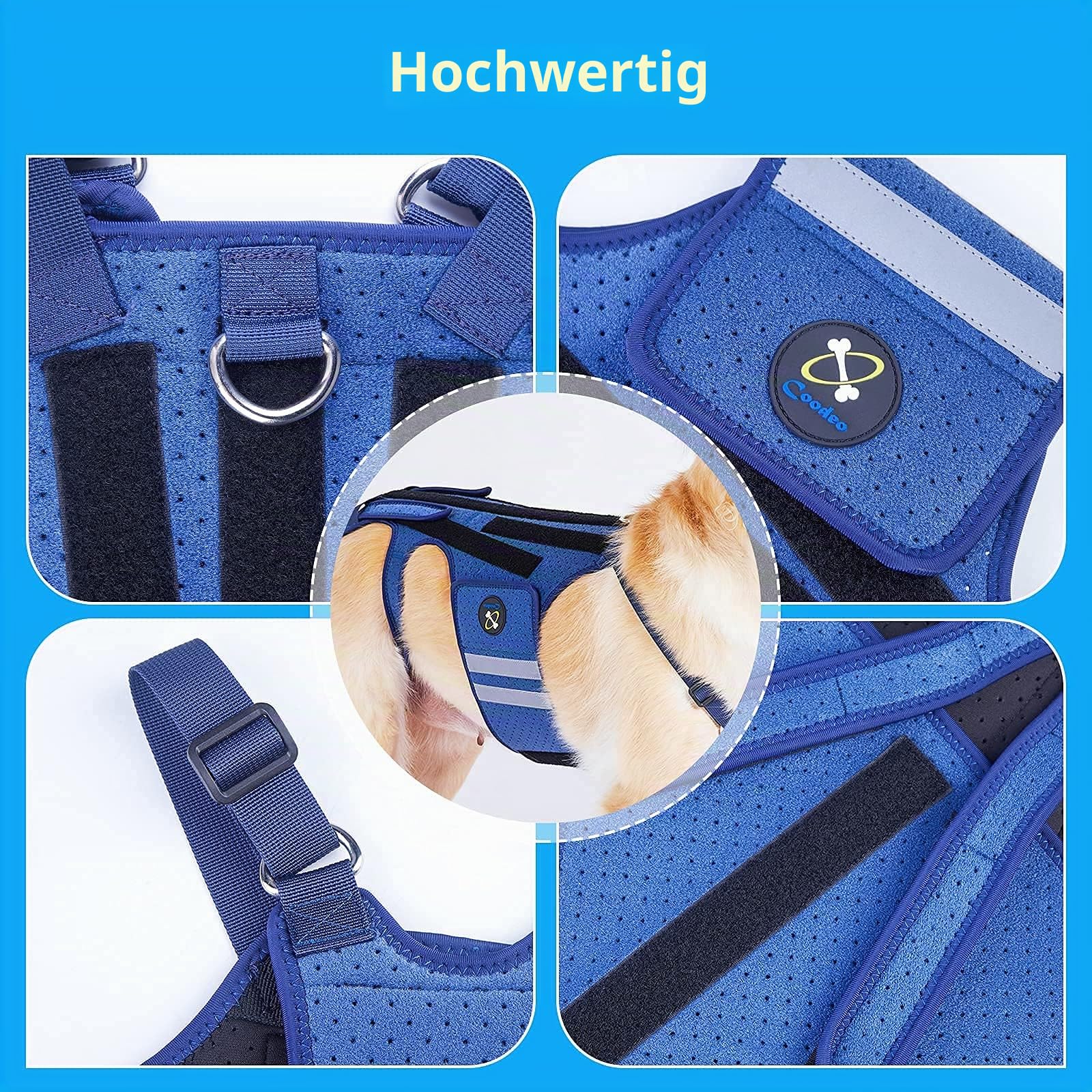 COODEO Hunderückenstütze für Hunde Arthritis, Haustier Rückenstütze für IVDD, Rückenprotektor hilft Schmerzlinderung, chirurgische Erholung &Rehabilitation, Hunde Rückenerkrankungen Prävention (XXL)