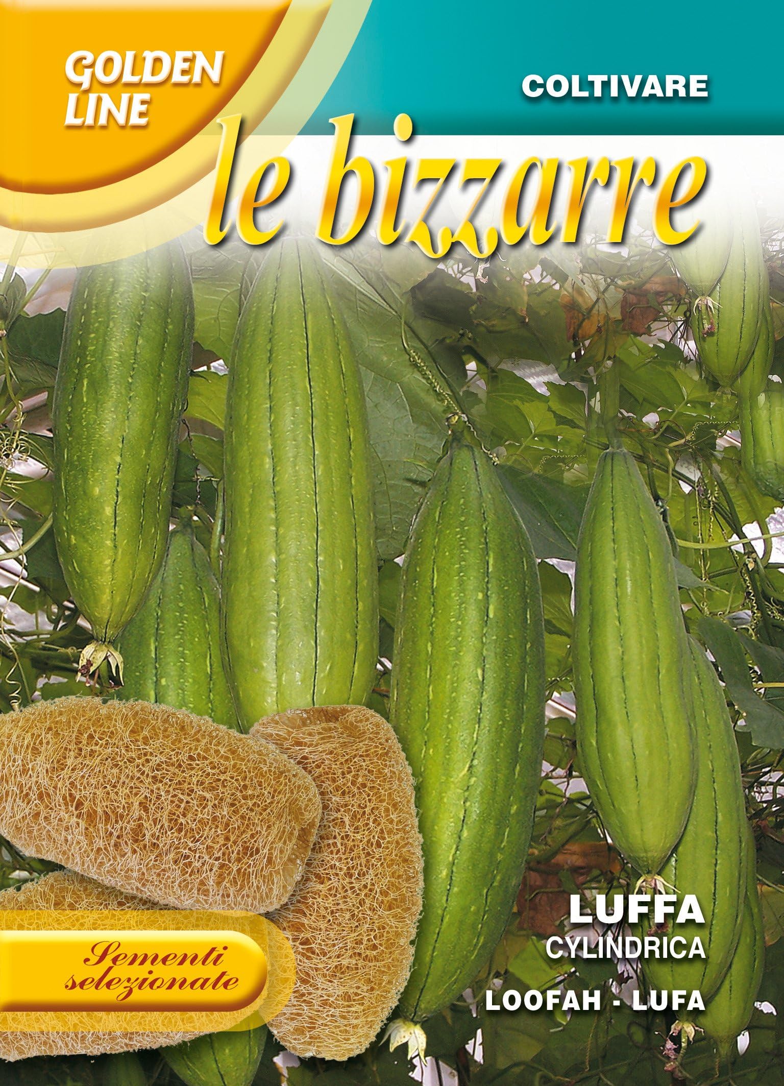 lava loofah » Natürlicher afrikanischer Luffa-Gurke-Schwamm