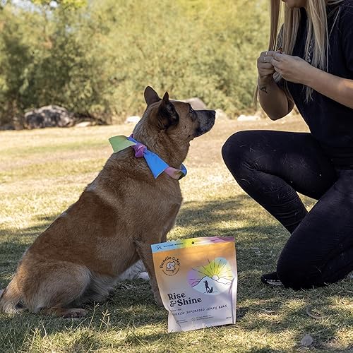Miniatura 4 de Bundle x Joy Rise & Shine Superfood - Golosinas para perros de 16 onzas, barras de carne seca de pollo real para aperitivos y entrenamiento,
