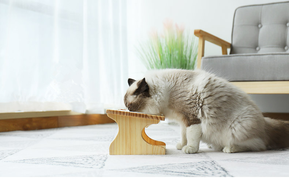 Ciotole Rialzate Per Cani E Gatti | 2 Pezzi In Ceramica Con Supporto Legno - Foto 10