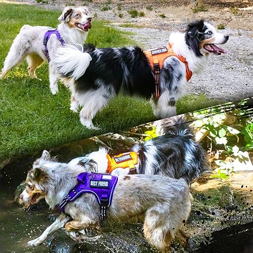 Miniatura 3 de rabbitgoo - Arnés táctico sin tirones para perros, estilo militar, con mango y sistema Molle, arnés para perros de fácil control, arnés reflectante