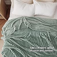 Vista 419 de Bedsure GentleSoft Twin Blanket for Couch - Cozy Soft Blankets for Women, Cute Small Fleece Throws for Girls, Light Grey, 60x80 Inches