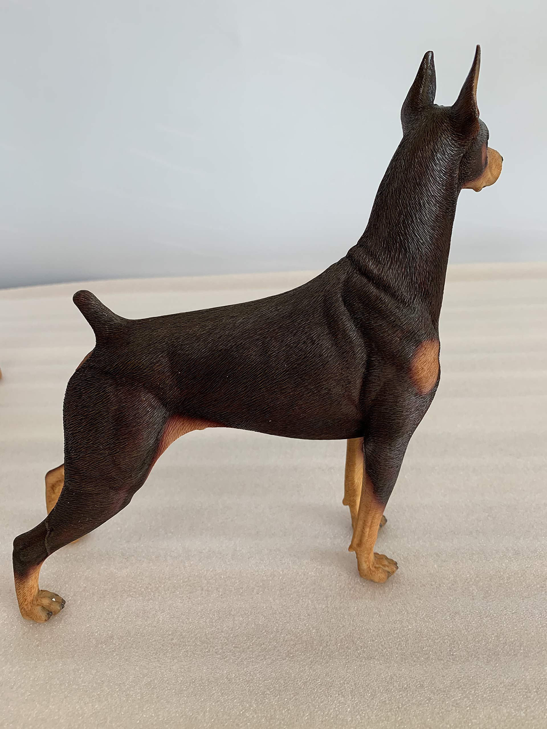 Amazon | M7 ドーベルマン ドーベルマン・ピンシャー 犬 動物 リアル