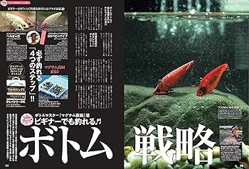 Amazon.co.jp: 『鱒王(マス王)Vol.4』~エリアトラウト究極本