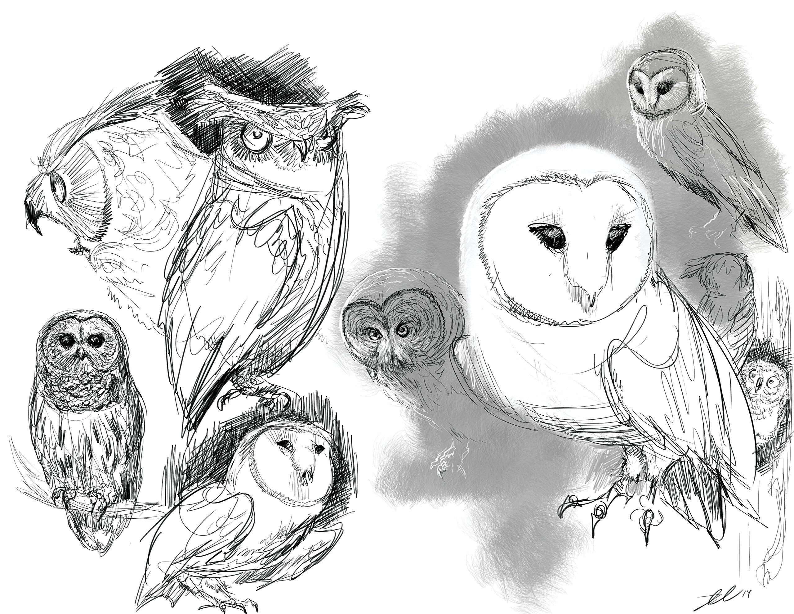 The Art of Animal Character Design, Second Edition by David Colman (2014-12-24)