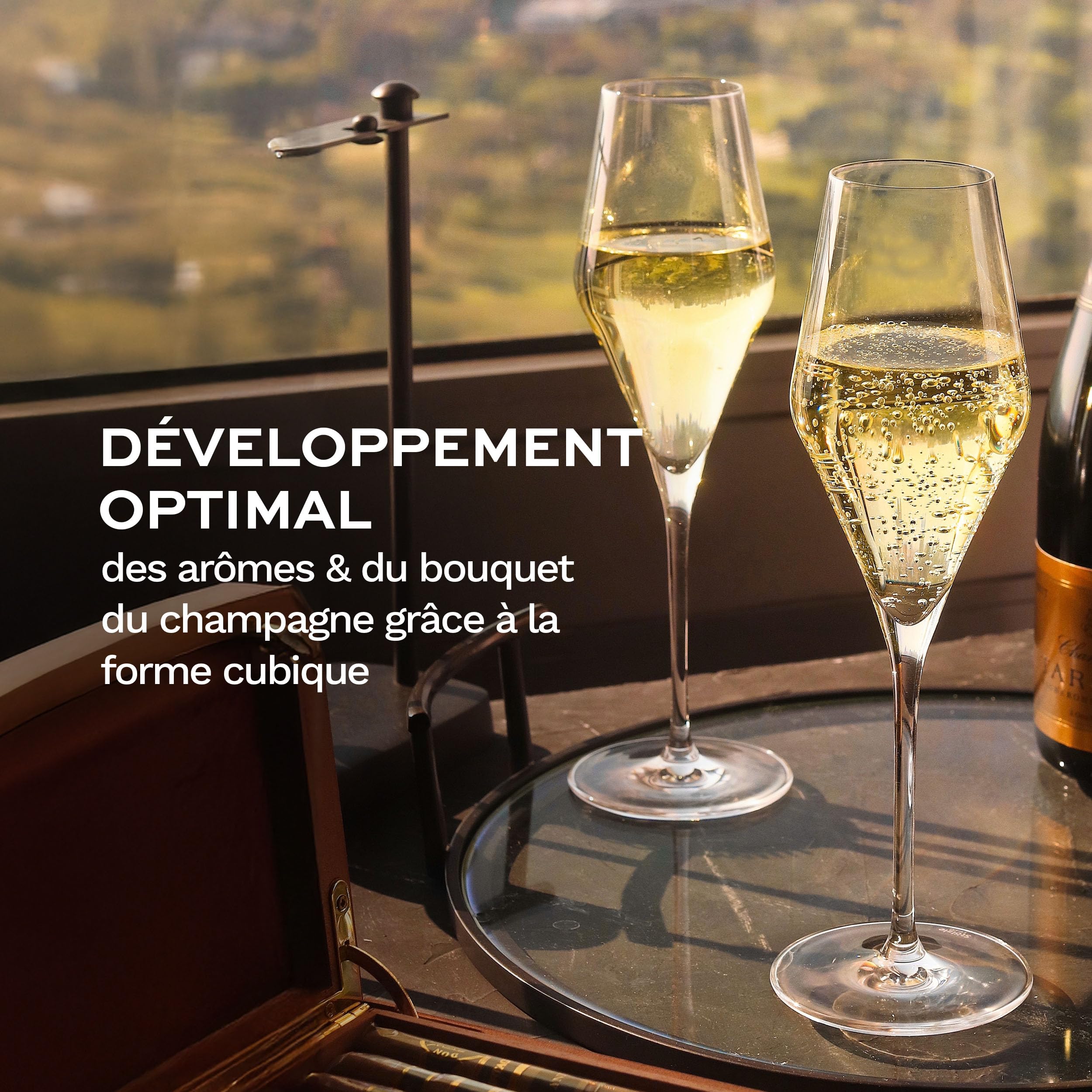 Verres ? Champagne Quatrophil de St?lzle Lausitz 290 ml, ensemble de 6, pareil aux souffl?s, qualit? pr?mium, lave-vaisselle garanti