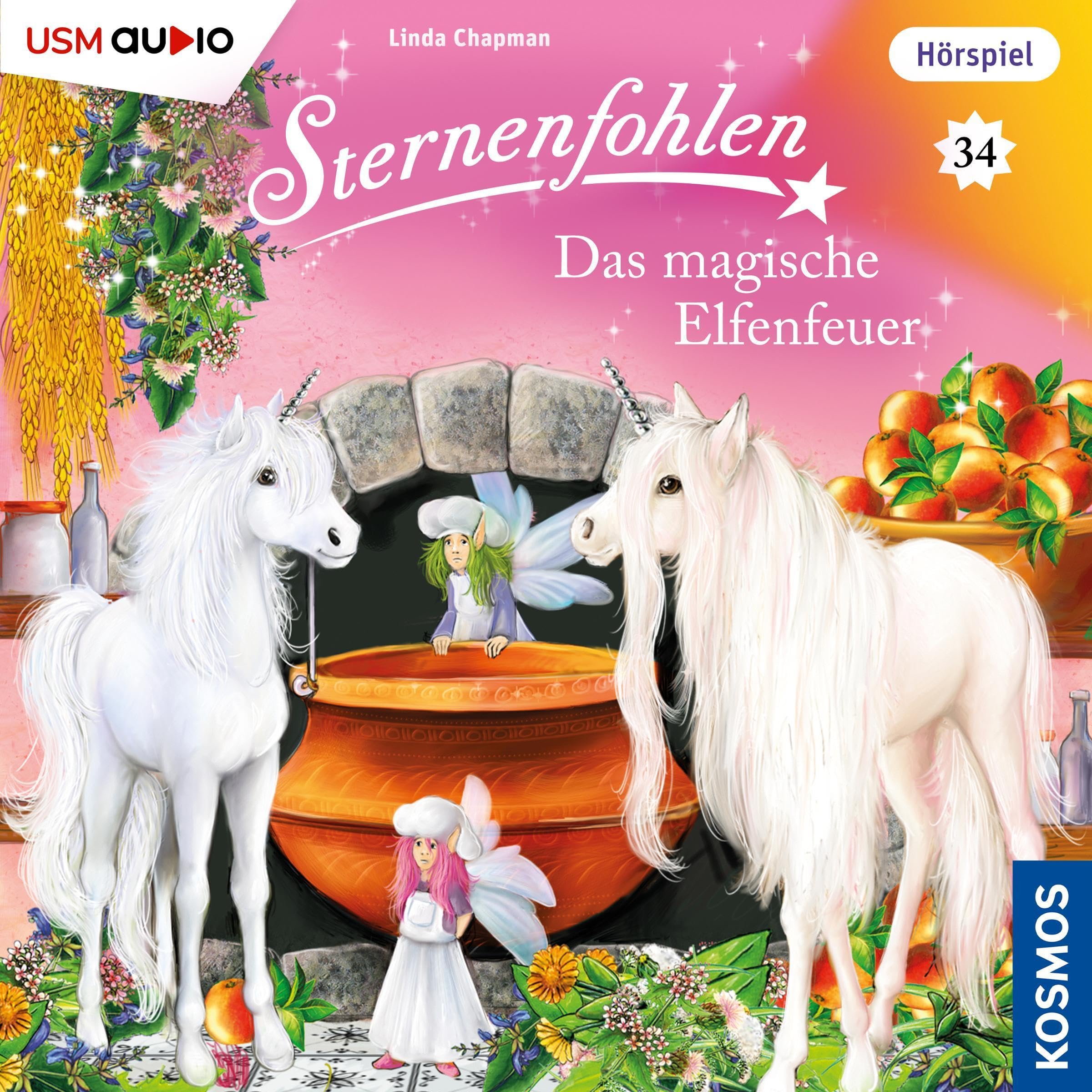 Cover art for Das magische Elfenfeuer