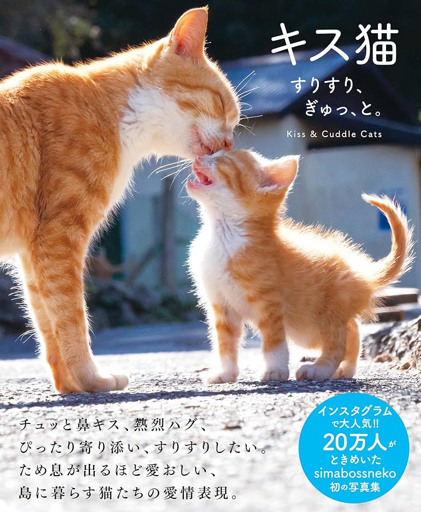 kISSねこ確認用
