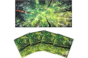 Fluorescent Light Covers - The Perfect Solution for Harsh Office Lighting