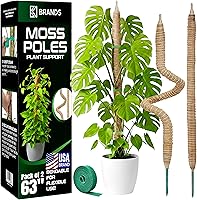 Vista 8 de K-Brands Soporte para plantas Monstera de poste de musgo flexible de 48 pulgadas, fibra de palma de coco, marrón, rectangular, estructura de soporte