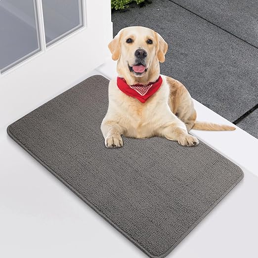 Sturdy Front Door Mat, Absorbent Muddy Dirt Resist Welcome Doormats, Stain and Fade Resistant, Non-Slip Rubber Backing Low Profile Doormat for Entryway, 34"×22", Grey