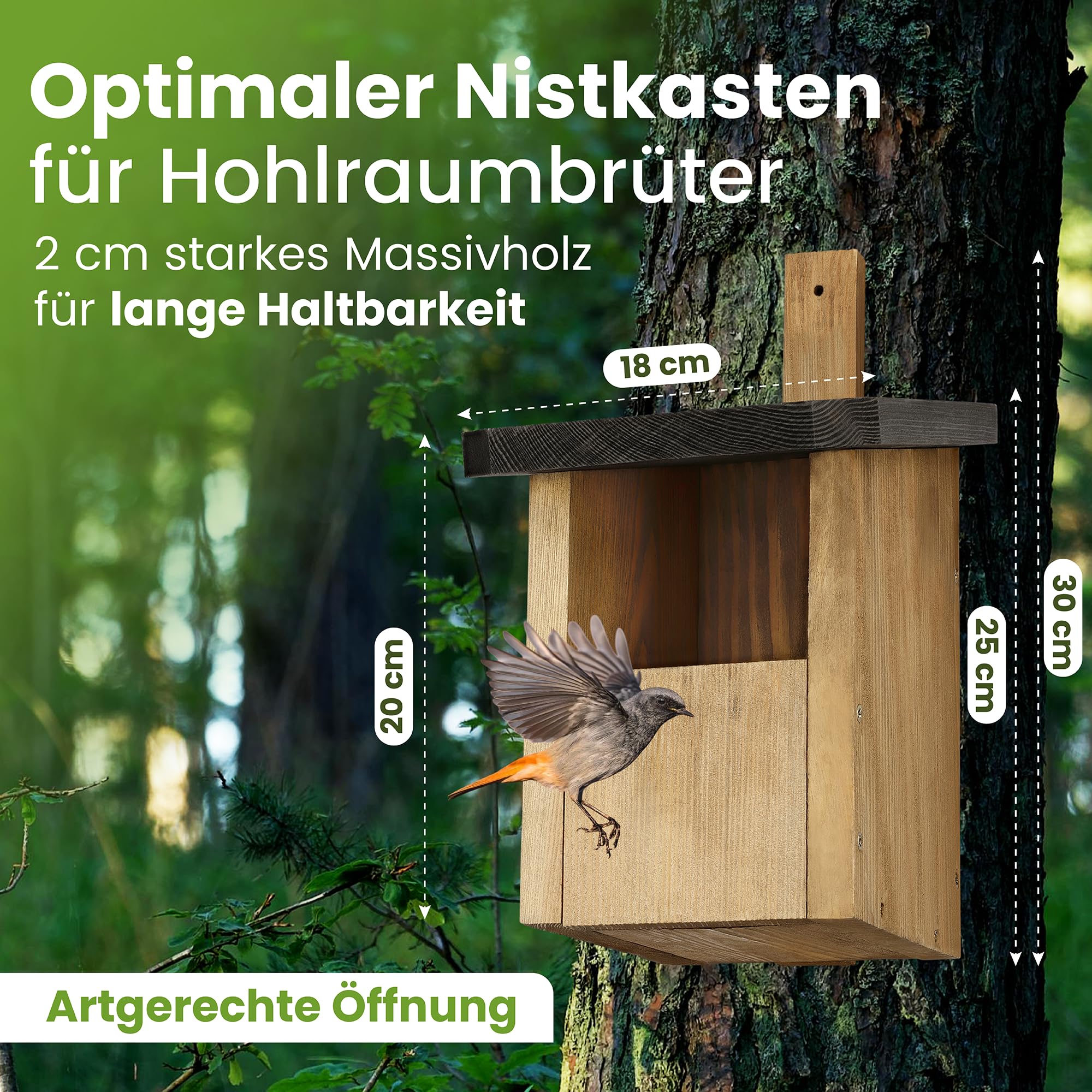 Halbhöhle Nistkasten für Rotkehlchen & Co. | Wetterfest & Massives Holz | Vogelhaus für Nischenbrüter | vollflächig imprägniert