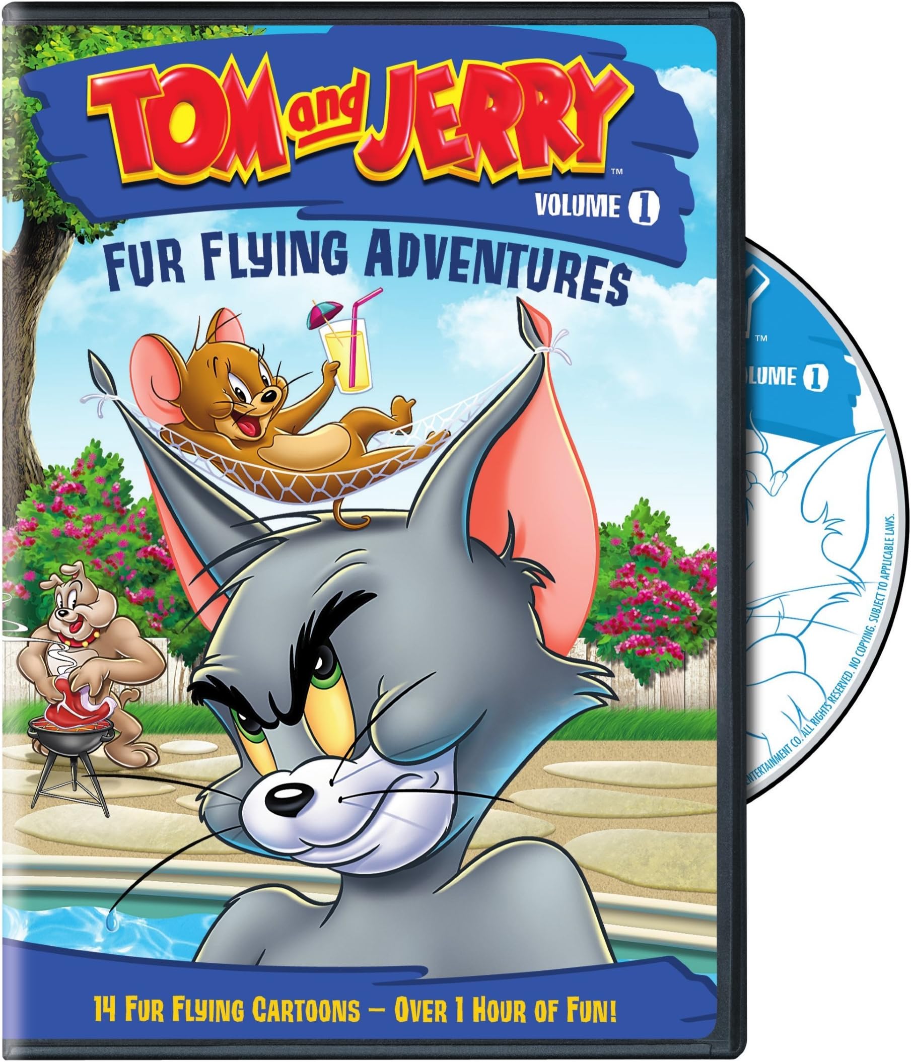 - Tom and Jerry: Fur Flying Adventures, Vol. 1