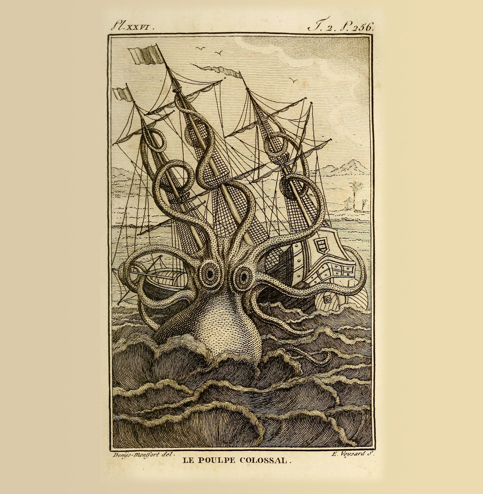 Carte De Vœux Parrot Histoire Naturelle 14x14 Cm – Intérieur Vierge – Papier épais 300g FSC – Avec Enveloppe
