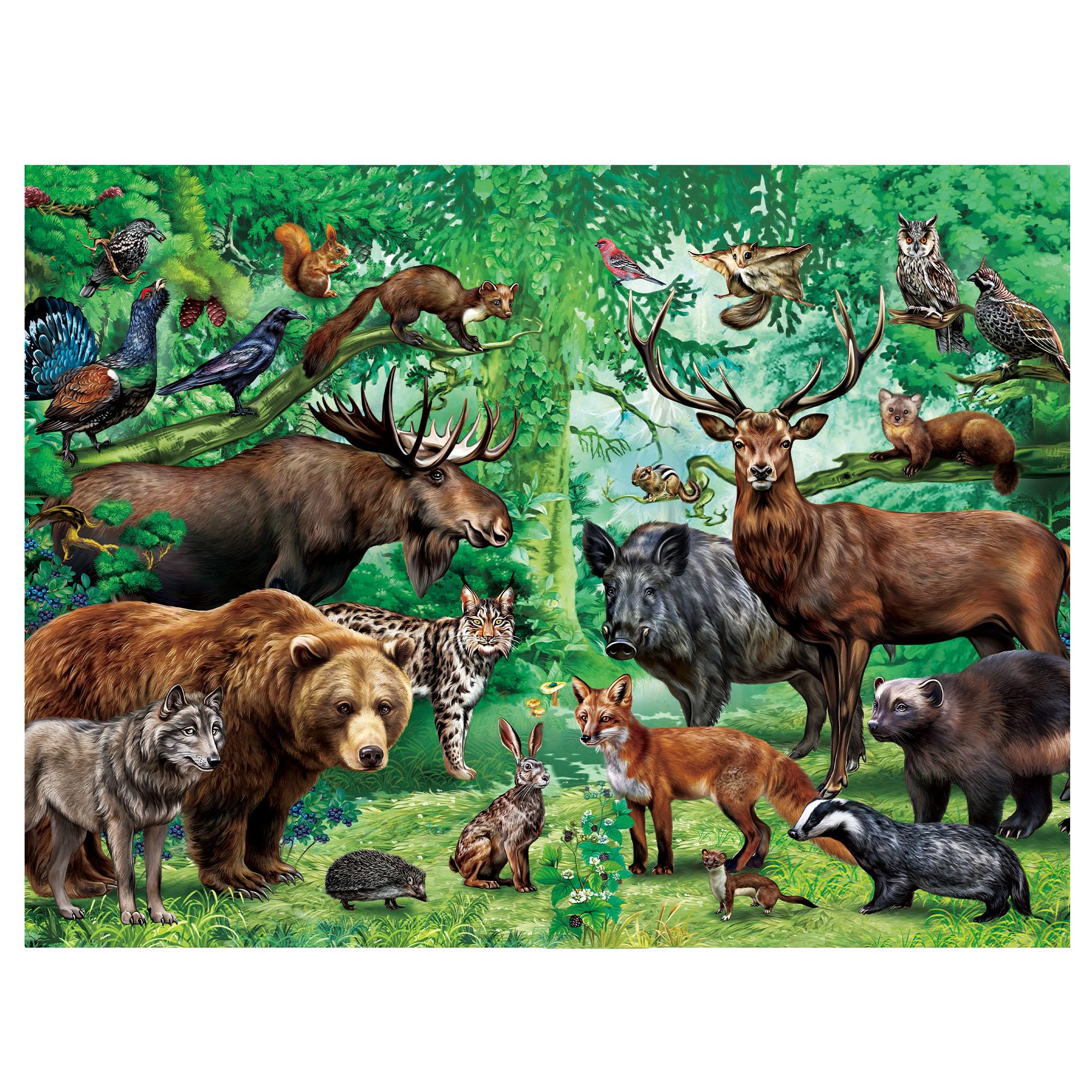 BenBen Puzzles for Kids Ages 4-6, Double Sided 100 Piece Puzzles for Kids, Wild Animals, Learning Educational Jigsaw Puzzles Toys for Boys Girls (15.75" x 11.75")