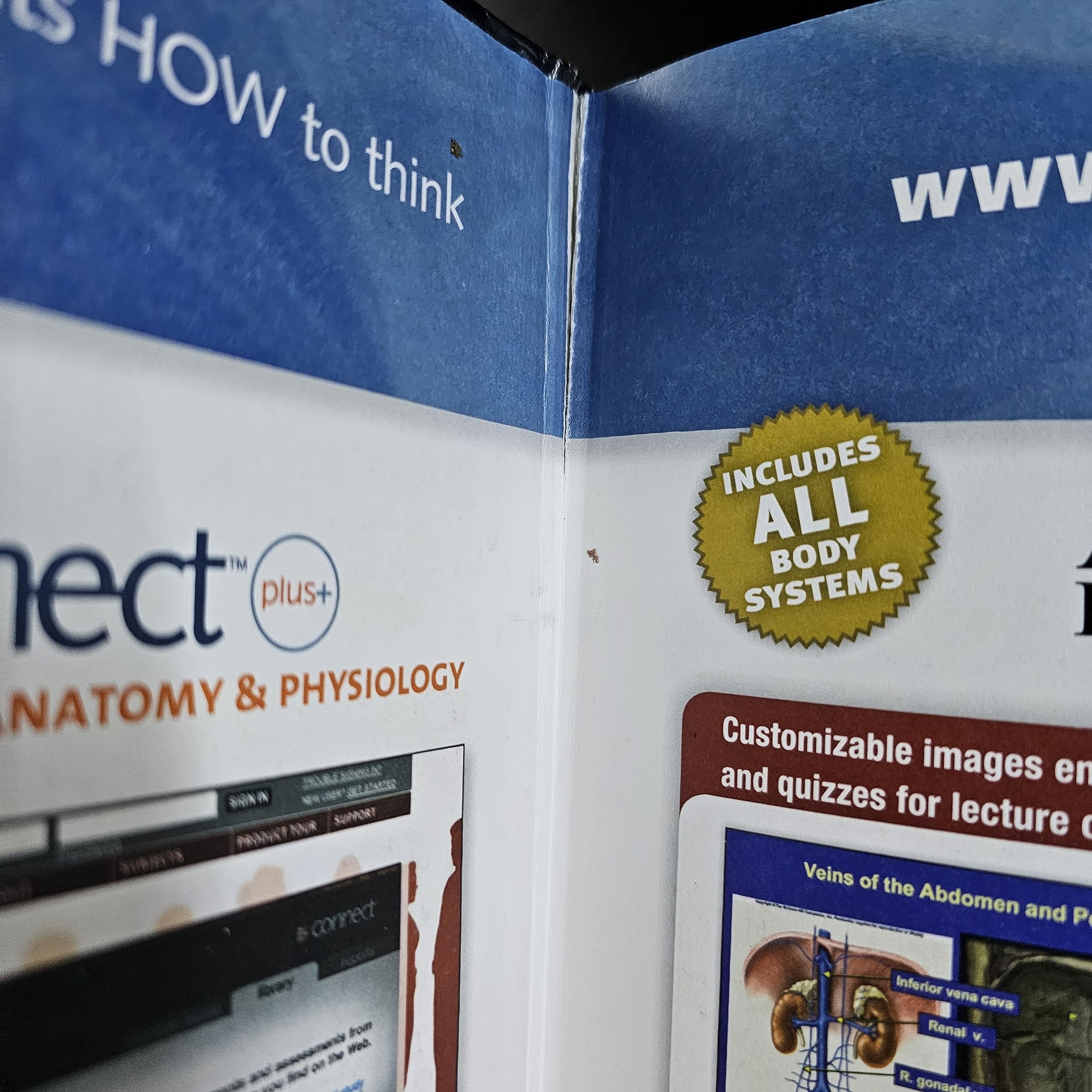 Seeley's Anatomy & Physiology - Image 3