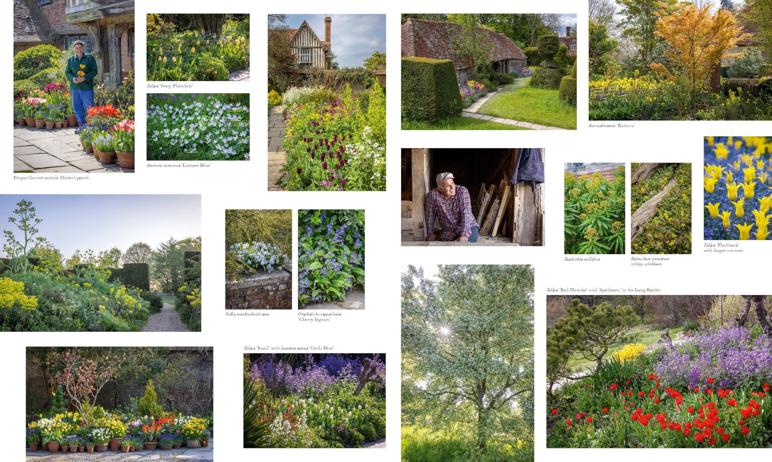 Cottage Gardens: A Stunning Tour of Bucolic British Gardens