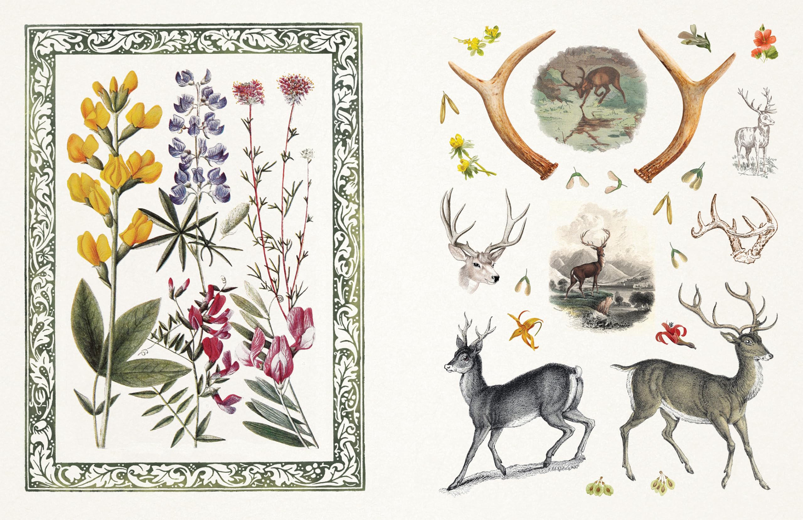 Sticker Emporium Floribunda