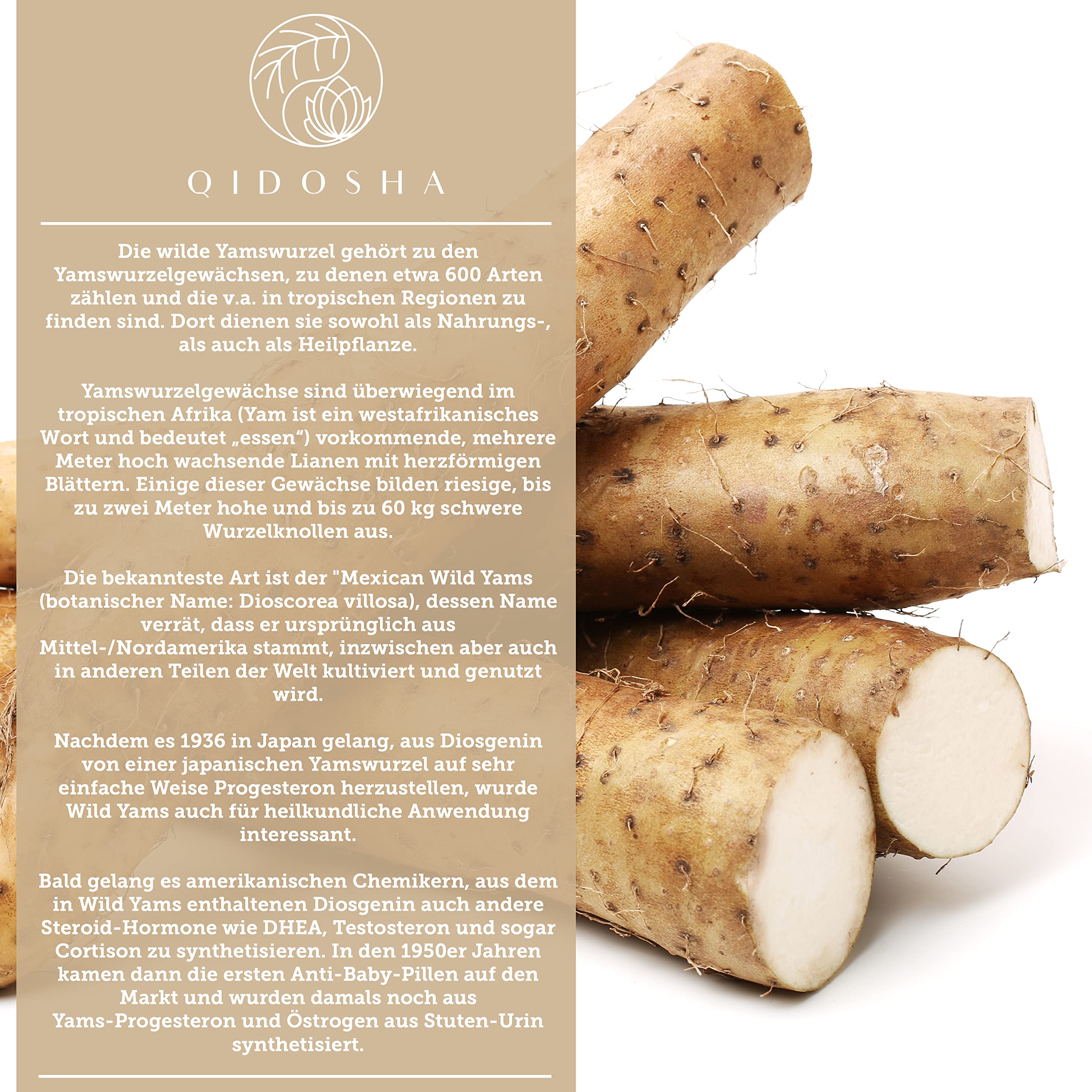 QIDOSHA® Wild Yams Wurzelextrakt, 240 Stk/Glas, 1000mg Wilder Yams Wurzelextrakt mit 200mg Diosgenin je Tagesportion, Mexikanischer Wild Yam Kapseln hochdosiert, vegan, in Deutschland gefertigt