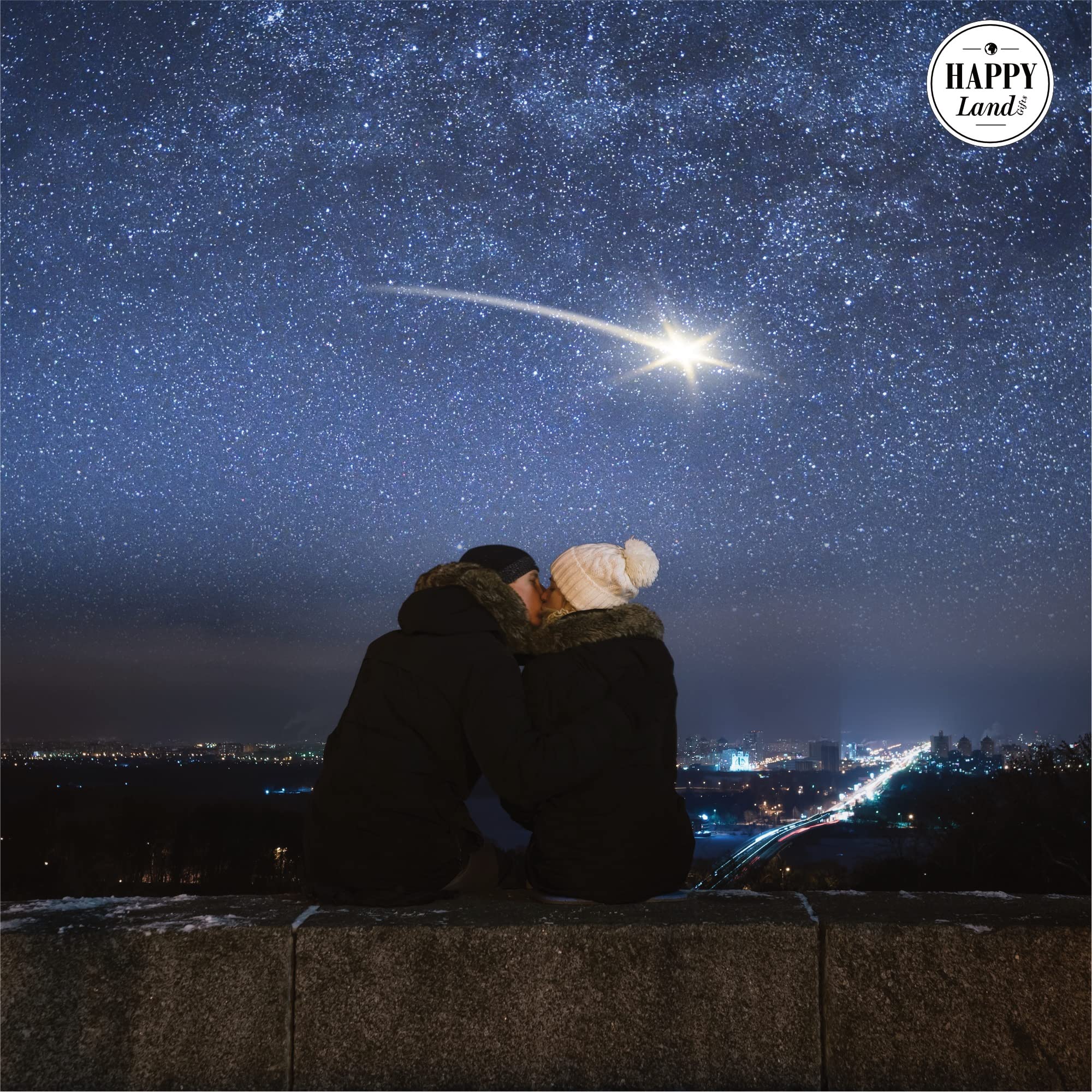 UREILITE ACHONDRITE METEORITE NWA 2376 - View #6