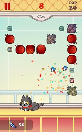 PUNCH CAT – vue 4