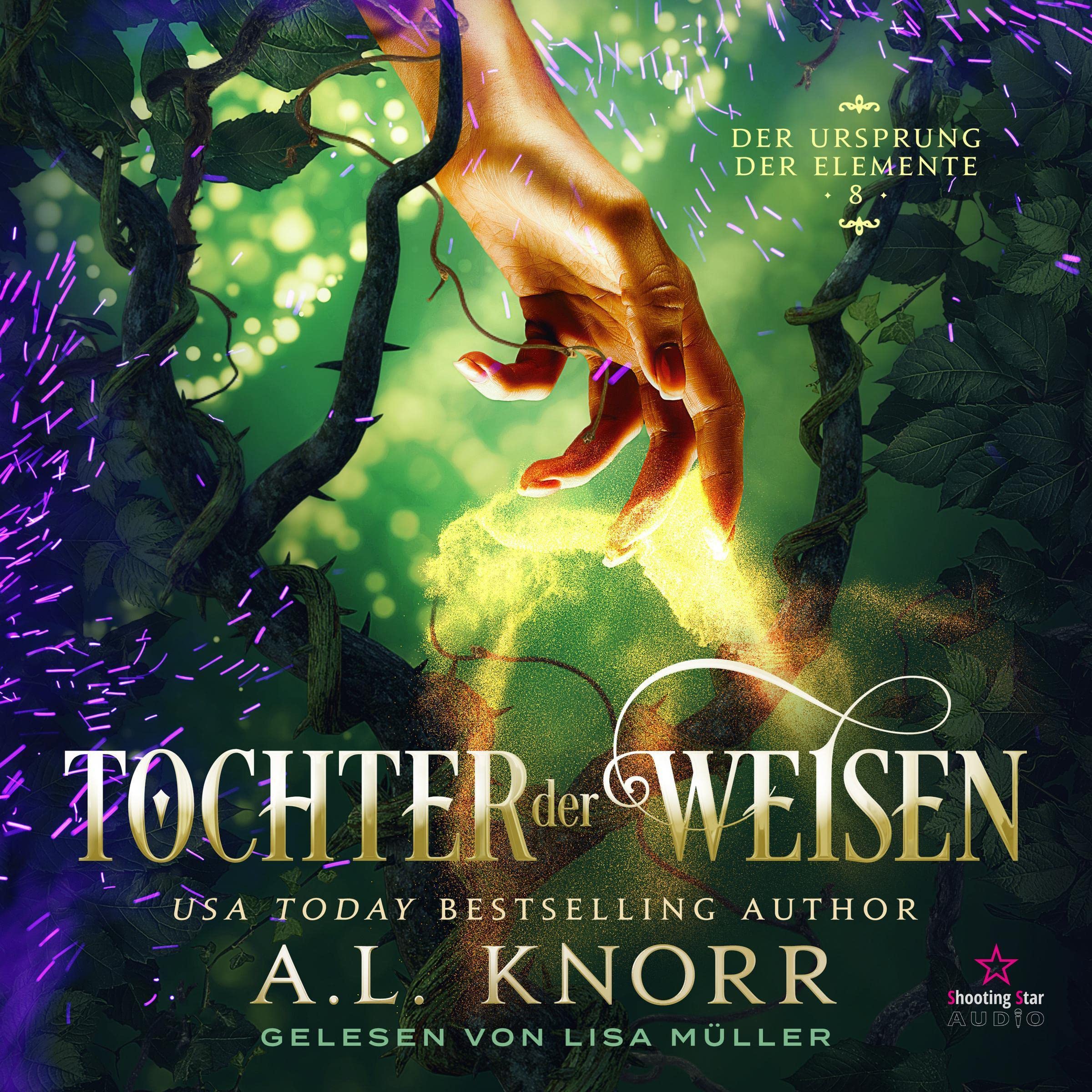 Cover art for Tochter der Weisen