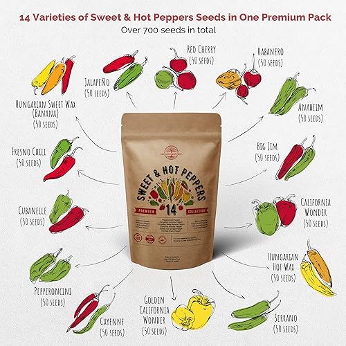 Miniatura 2 de Paquete de 14 semillas de germinación de pimiento dulce y picante y rúcula y microgreens, semillas de reliquia sin OMG para plantar en interiores y