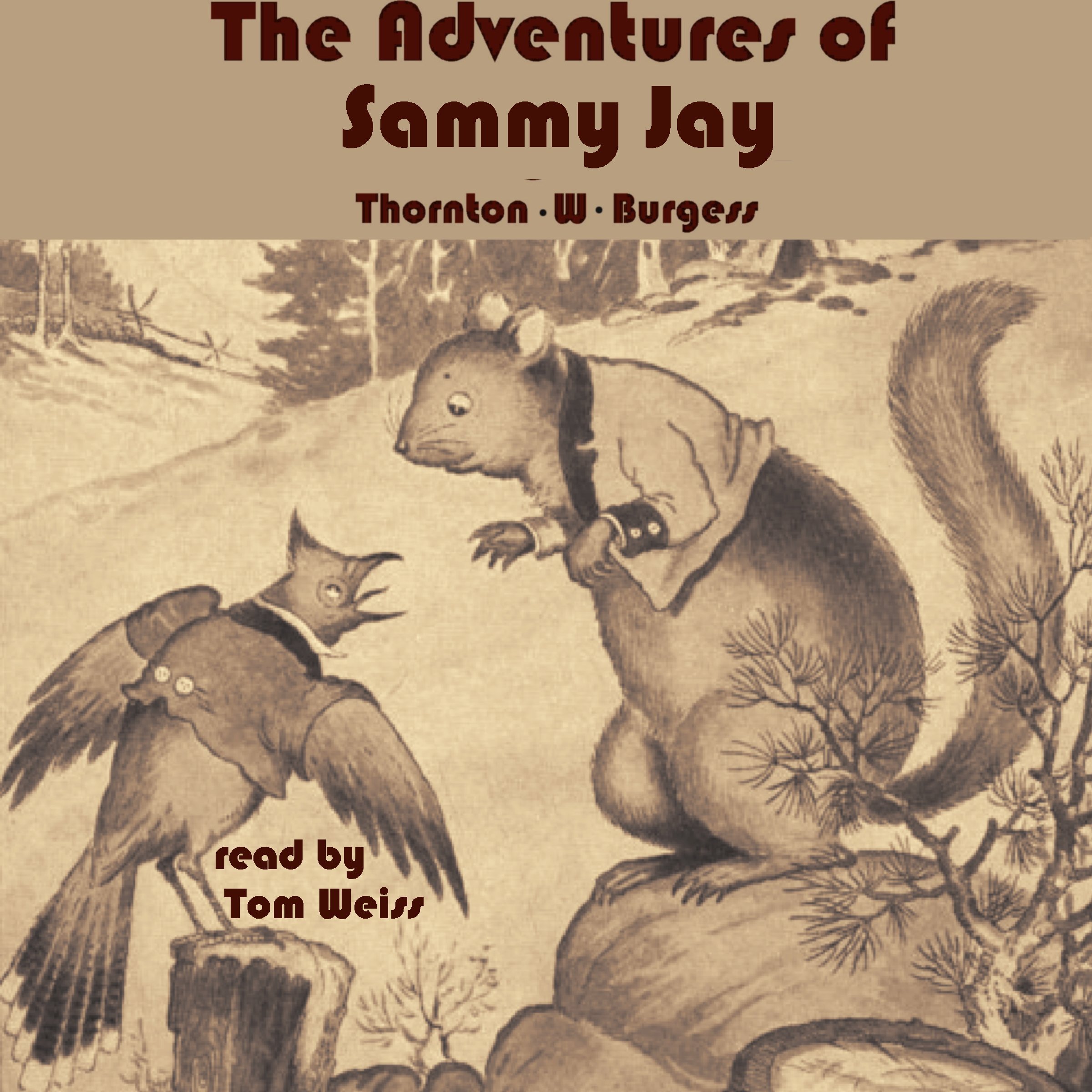Cover art for The Adventures of Sammy Jay