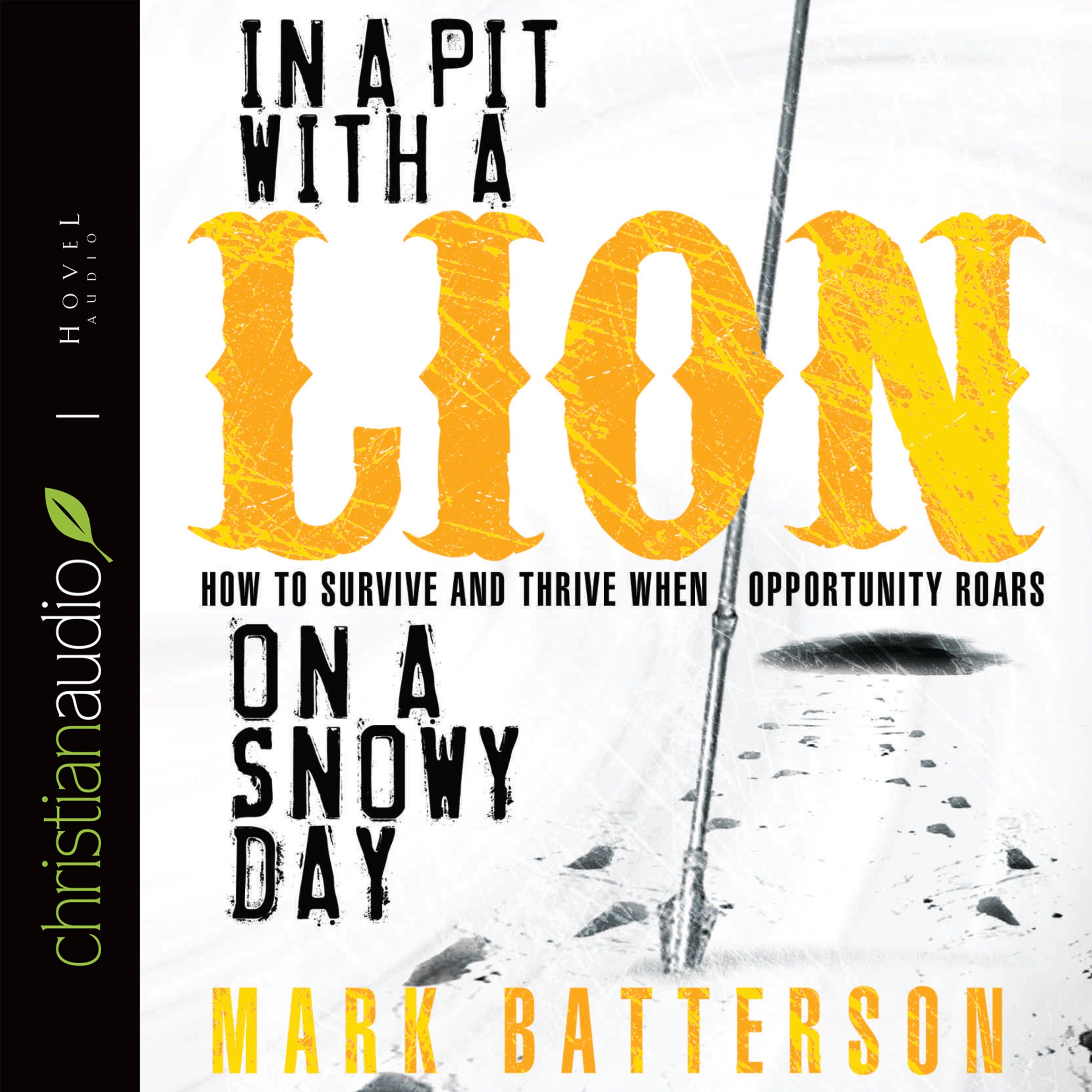 In a Pit with a Lion on a Snowy Day