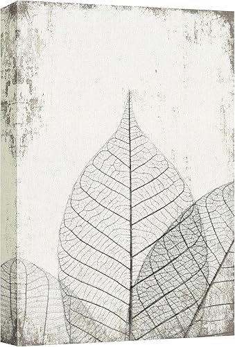 Miniatura 61 de WTD - Lienzo decorativo para pared, diseño de Giclee Flores de amapola