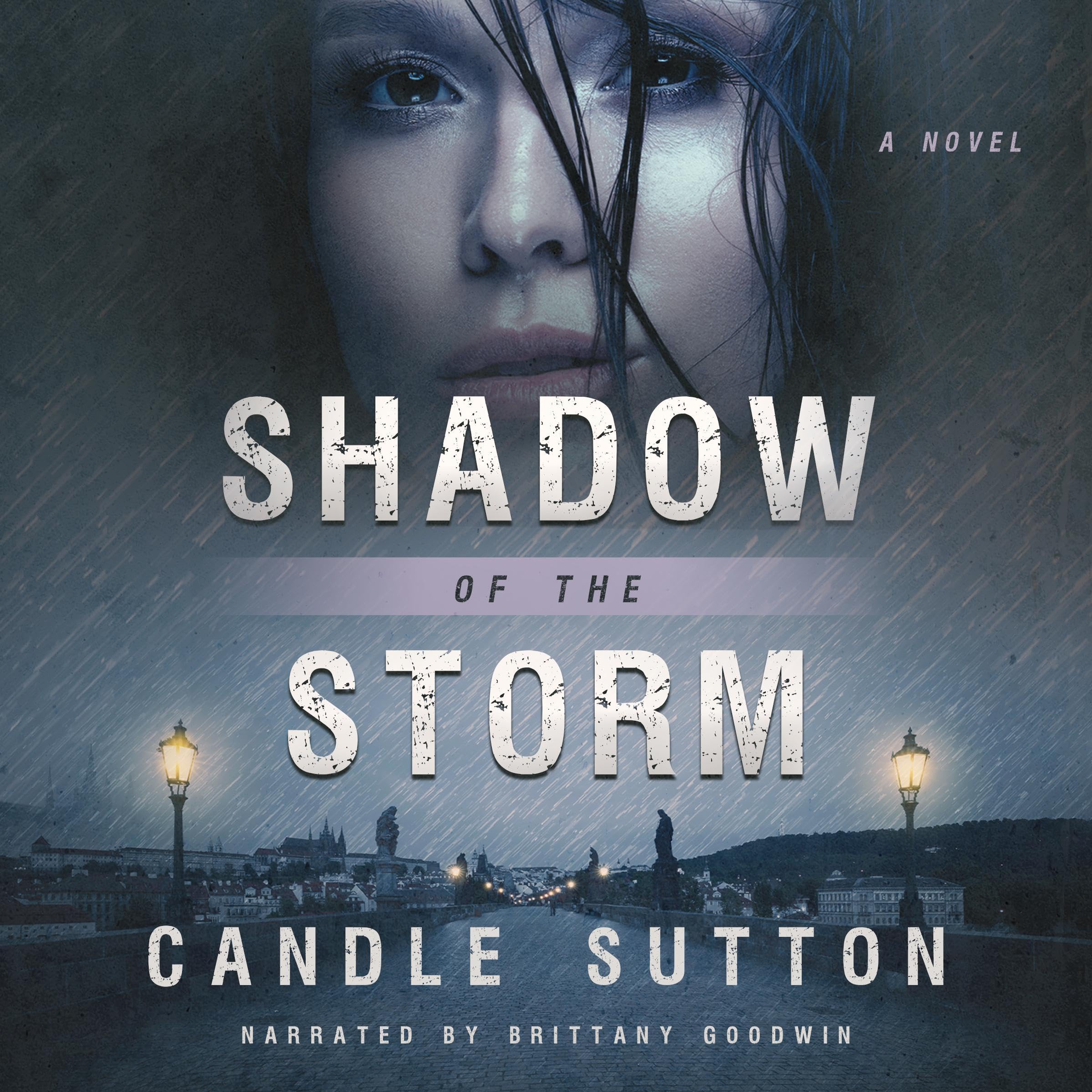 Cover art for Shadow of the Storm
