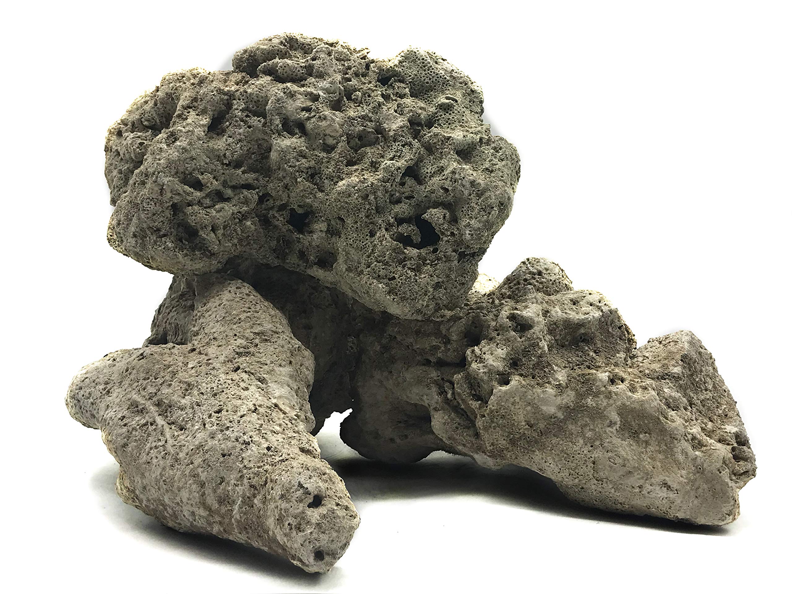 Aquarium Dried Reef Base Rock Mixed Sizes (20kg)