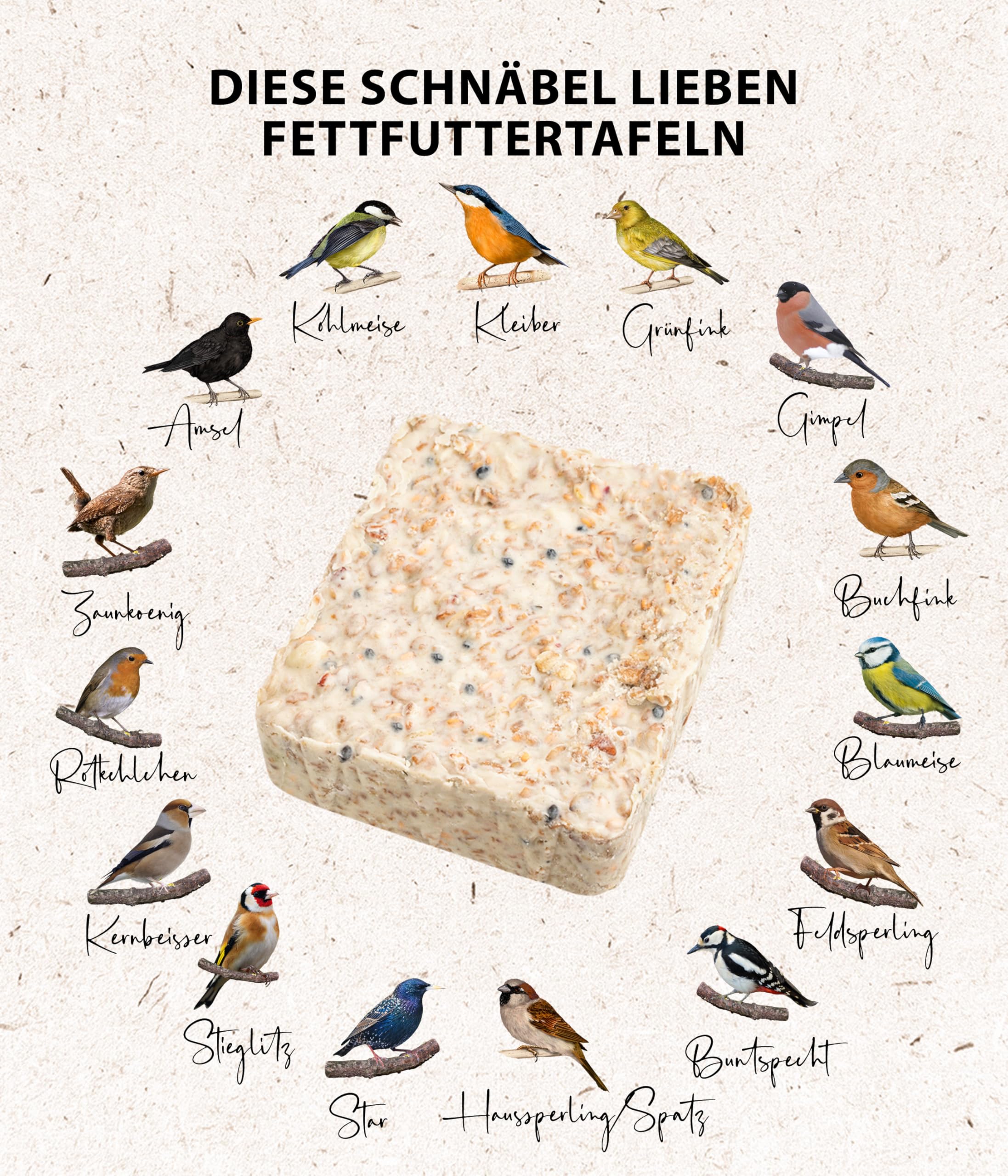 Dehner Natura - Tablas de Comida para Aves Silvestres con Bayas, 12 x 300 g (3,6 kg)