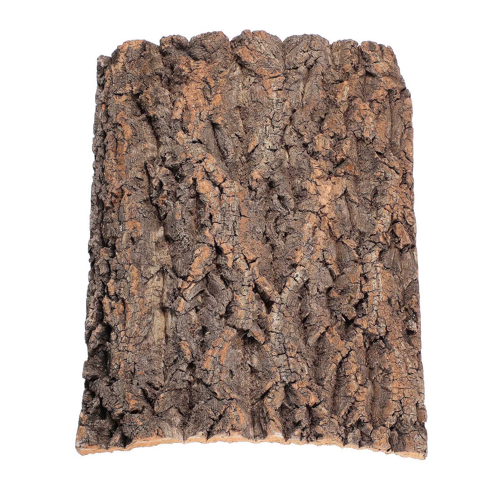 Corteccia di Sughero Naturale Decorativa per Terrario, Piattaforma per Rettili Resistente alle Macchie, per Arrampicata di Lucertole e Sfondo Habitat