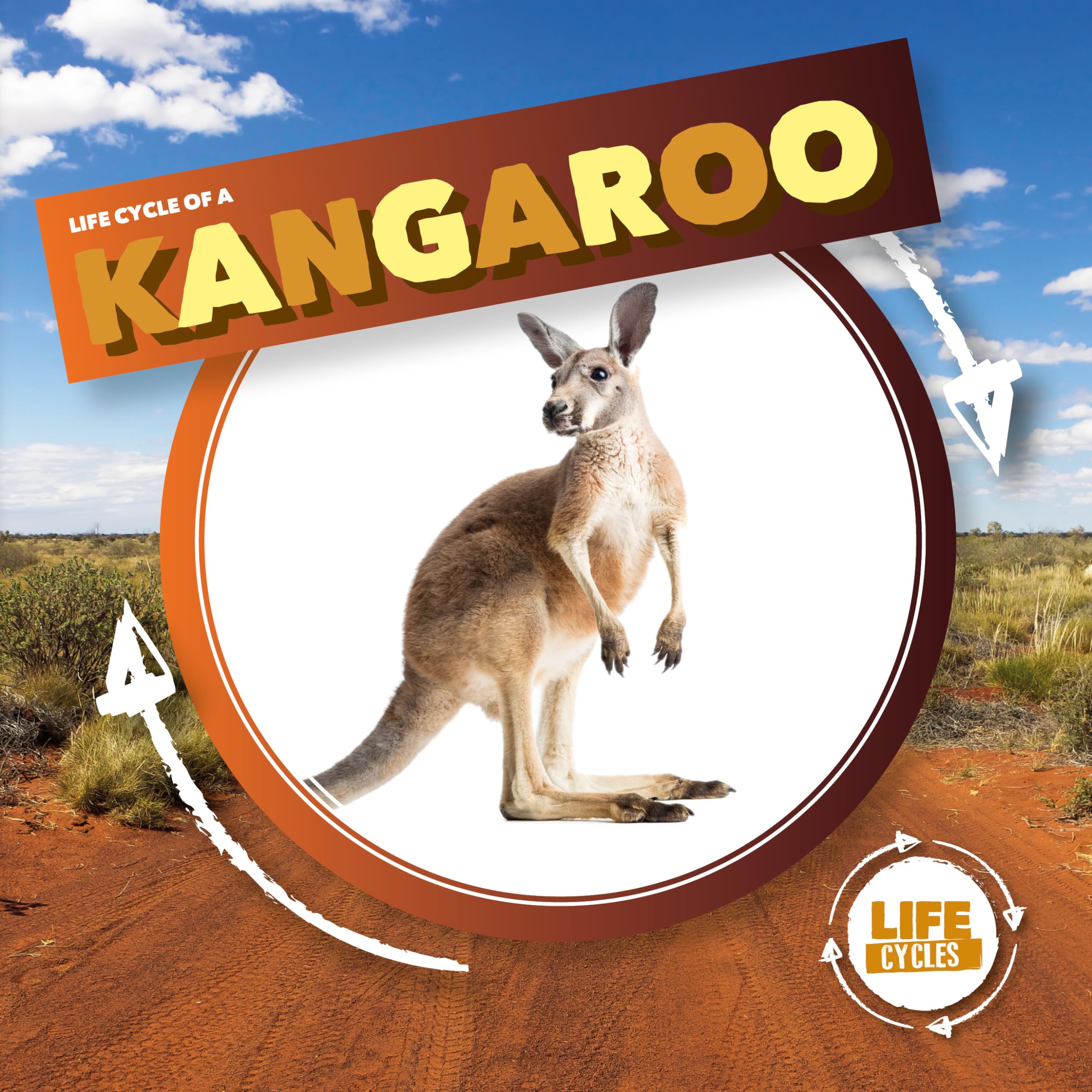 Kangaroo by Kirsty Holmes HARDBACK 9781786379375
