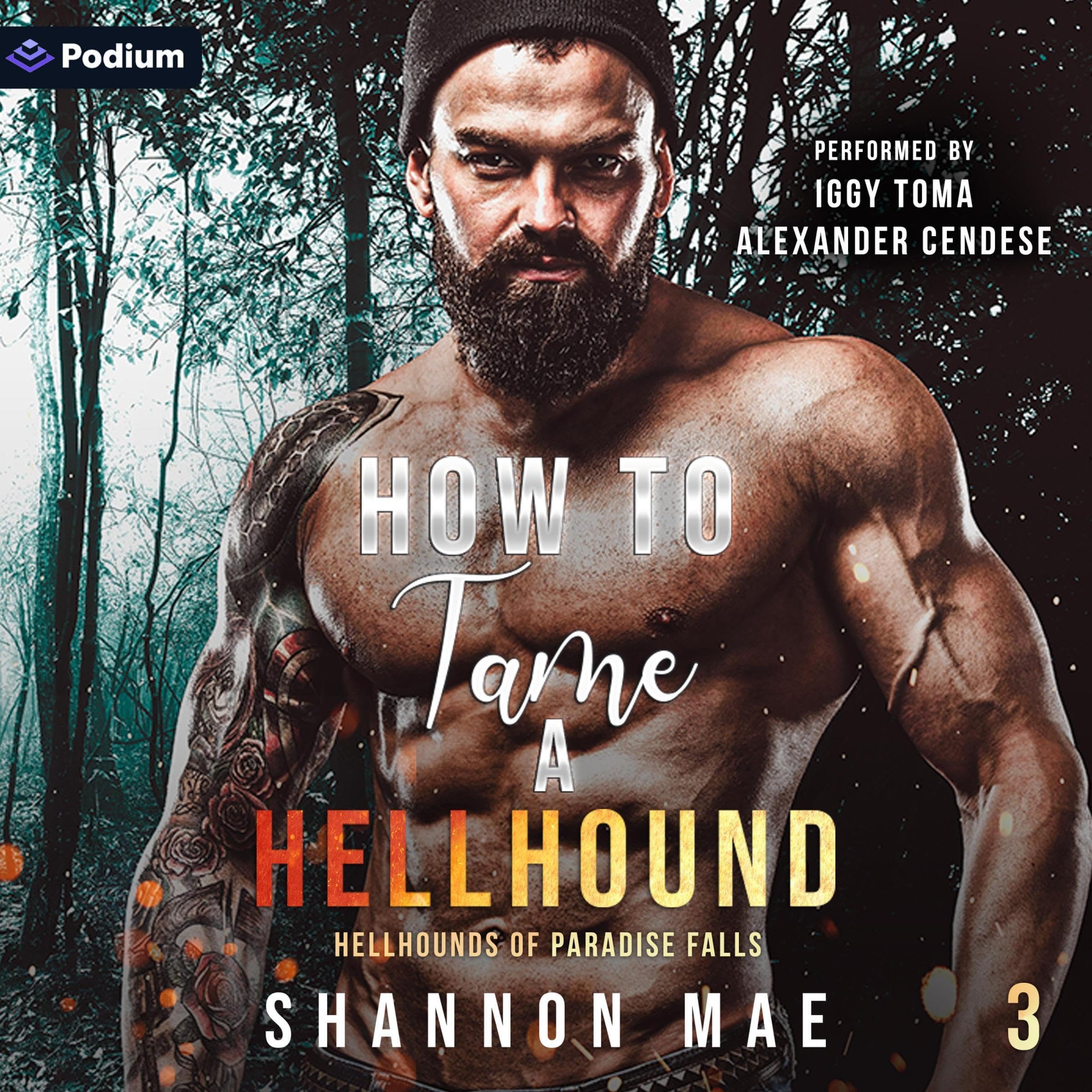 Cover art for How to Tame a Hellhound