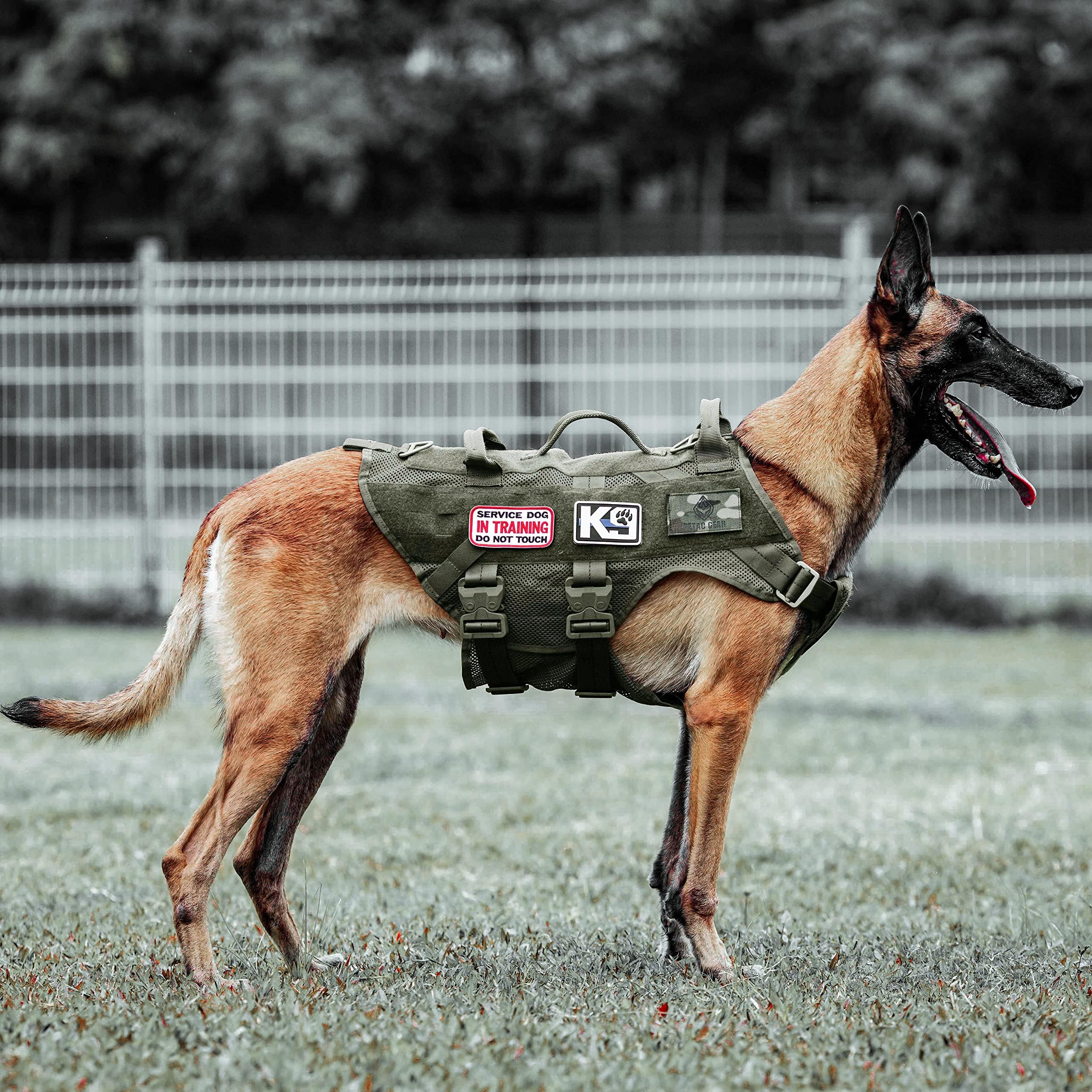 PETAC GEAR Tactical Dog Harness, Working Dog Vest Military Dog Training Harness Police Service Dog Vest with Handle, Molle Panel, Breathable Mesh (Ranger Green, L)