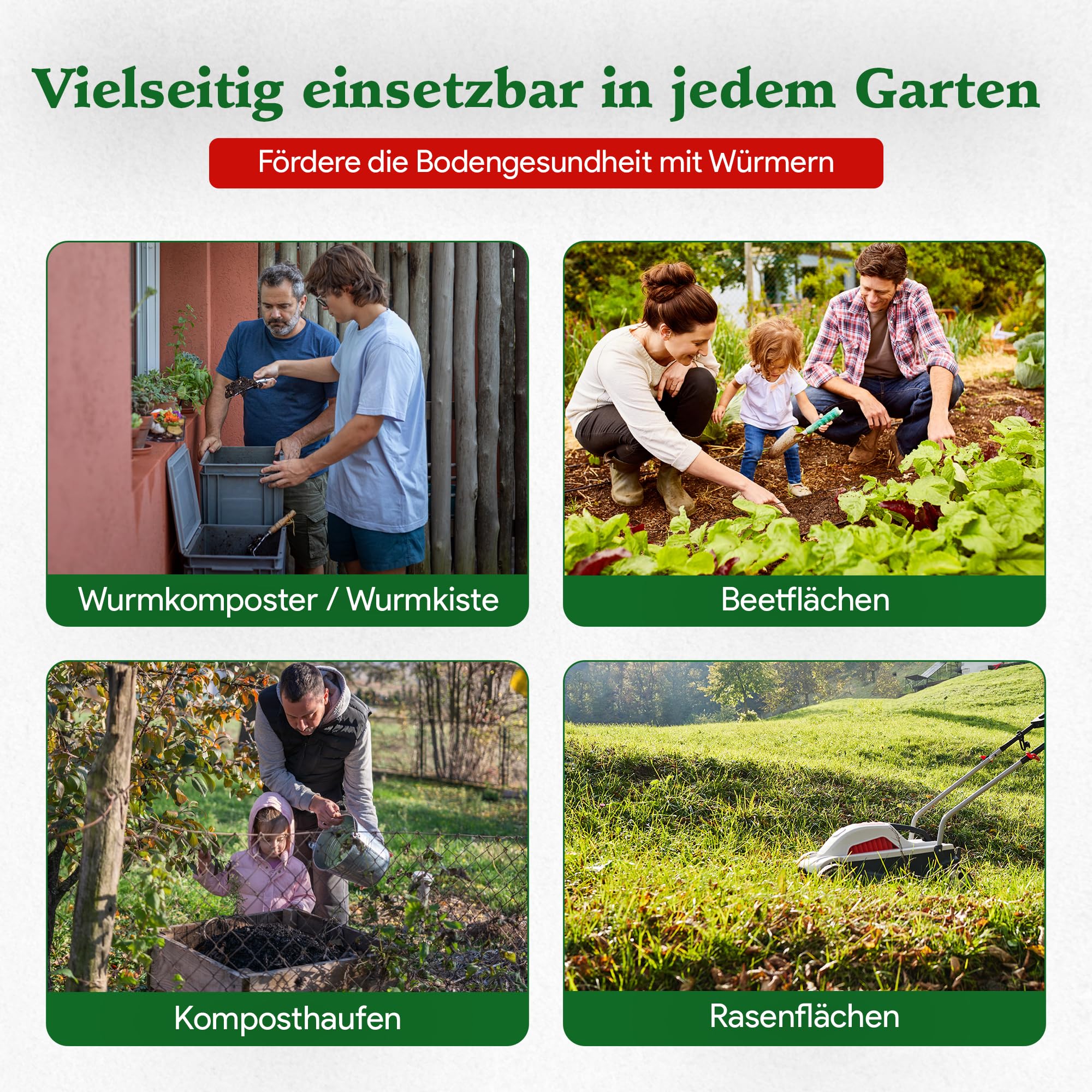 0,5 kg de vers de compost (min. 500 pièces) | Vers de terre, mélange Eisenia vivant pour compost, jardin, vermicomposteur, boîte à vers, plate-bande surélevée