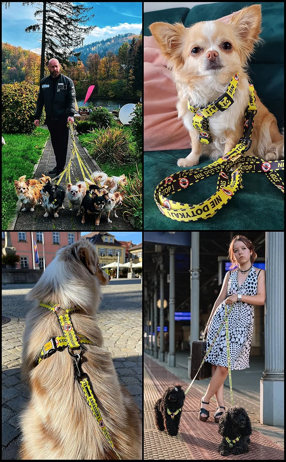 DO NOT PET Adjustable Safe Control Caring for Special Dog Needs Black/Yellow Size (L, Leash)