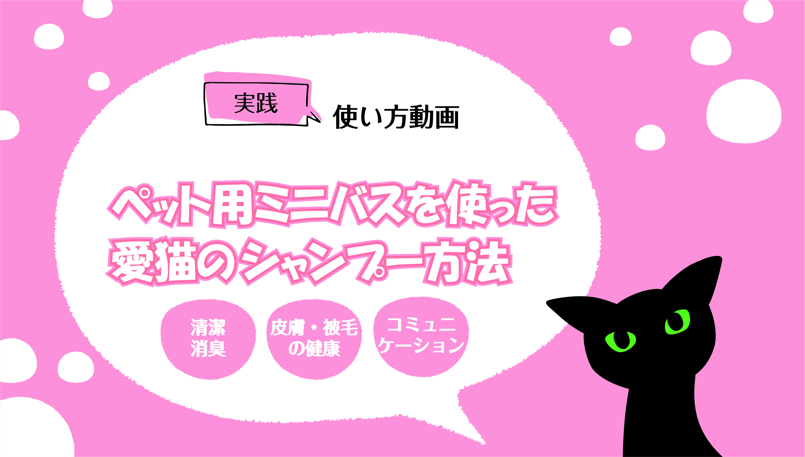 Amazon | 【猫の専門家と共同開発】A.P.D.C. 猫用プロフェッショナル
