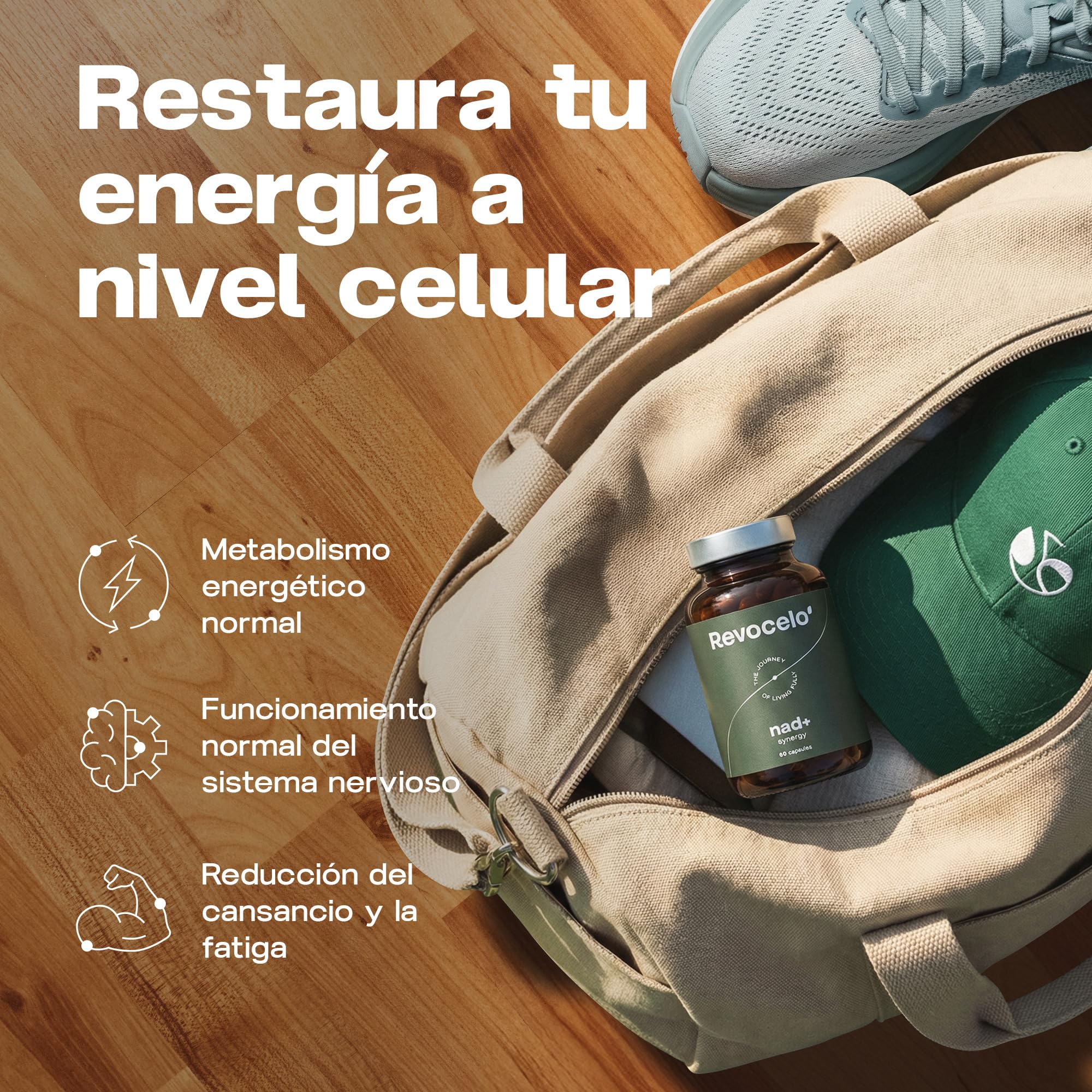NAD+ Synergy – Envejecimiento saludable y energía celular | 400 mg de activos con NR, apigenina liposomal, TMG y vitamina C, formato 2 meses, EU