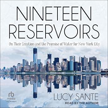 Nineteen Reservoirs Audiobook by Lucy Sante episode artwork