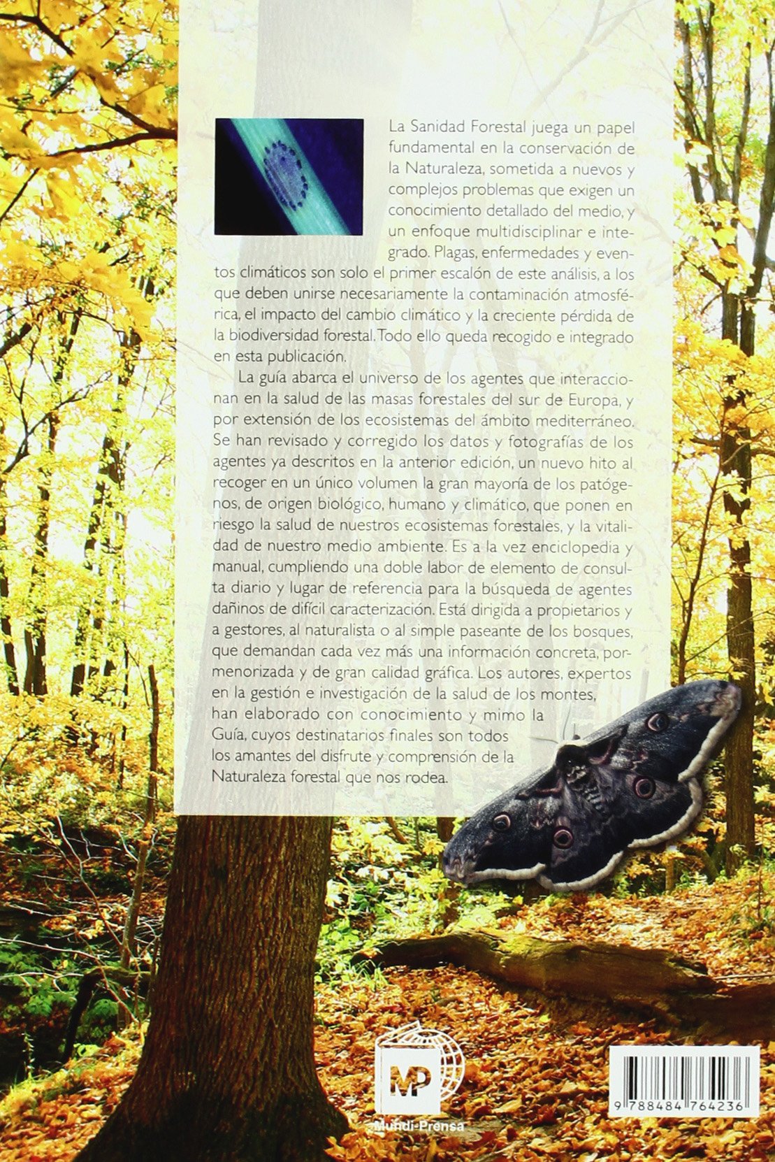 Sanidad forestal (Patología Vegetal)