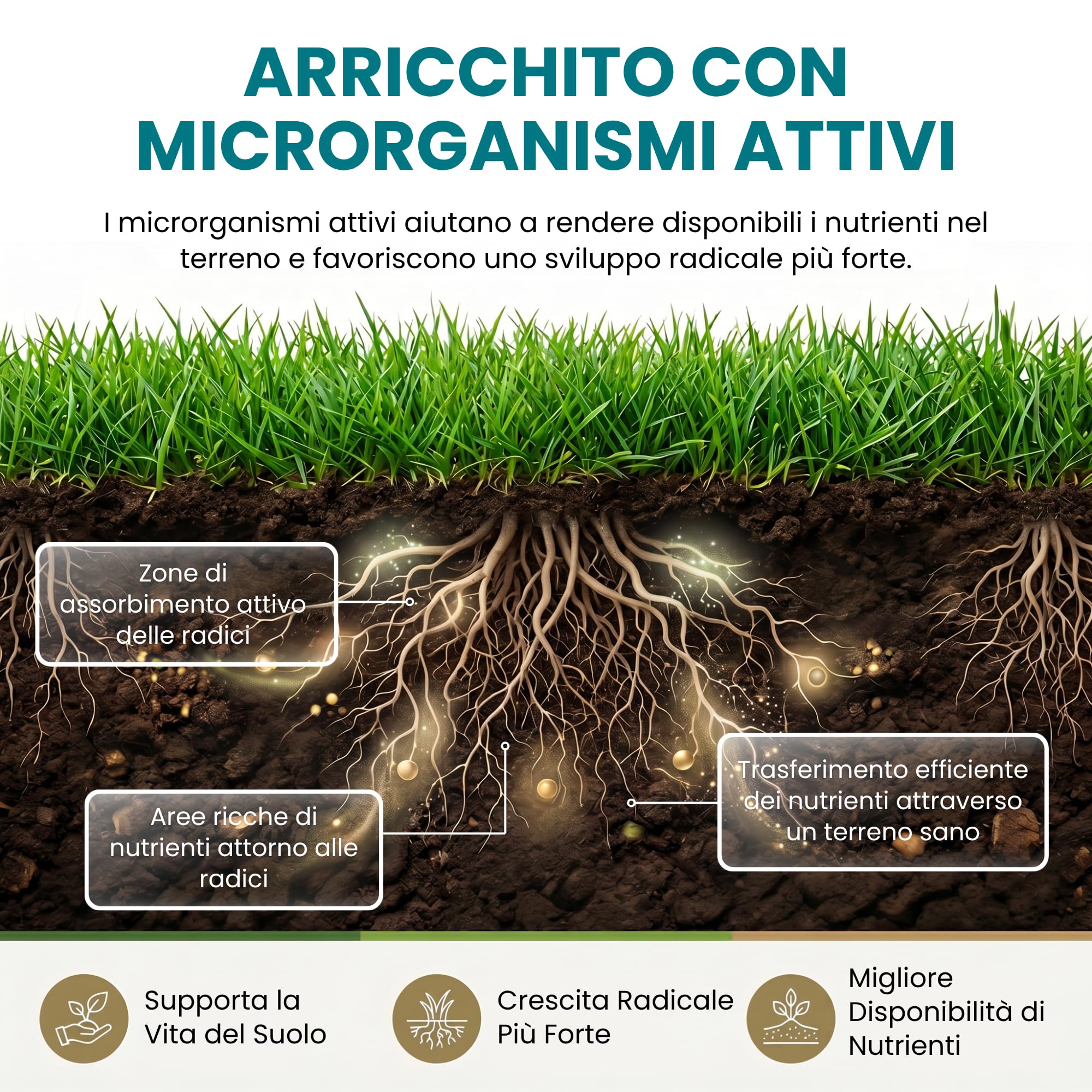 LERAVA BIOGREEN Concime per Prato Biologico (9 kg) - Fertilizzante Rinverdente Starter Granulare da Letame - con Microrganismi Attivi - Copre 225 m² - Sicuro per Animali Domestici