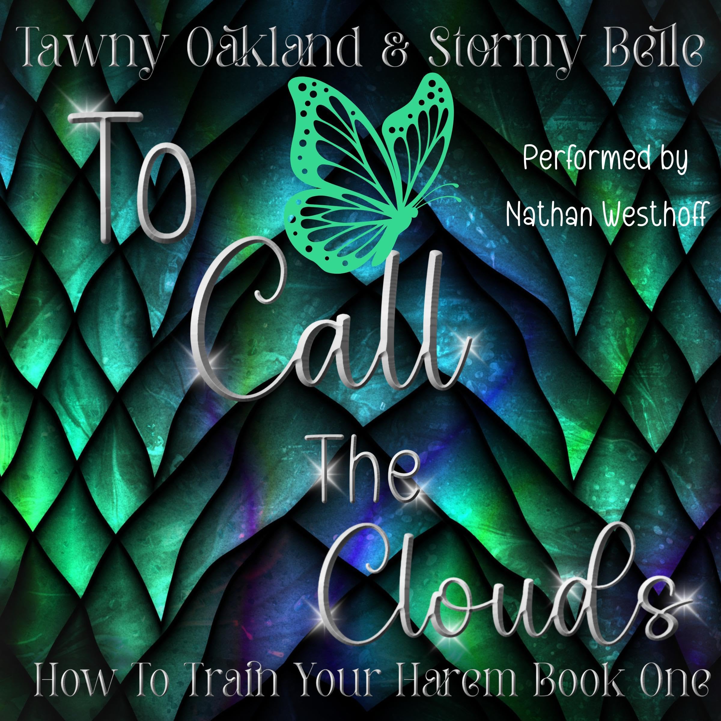 Cover art for To Call the Clouds