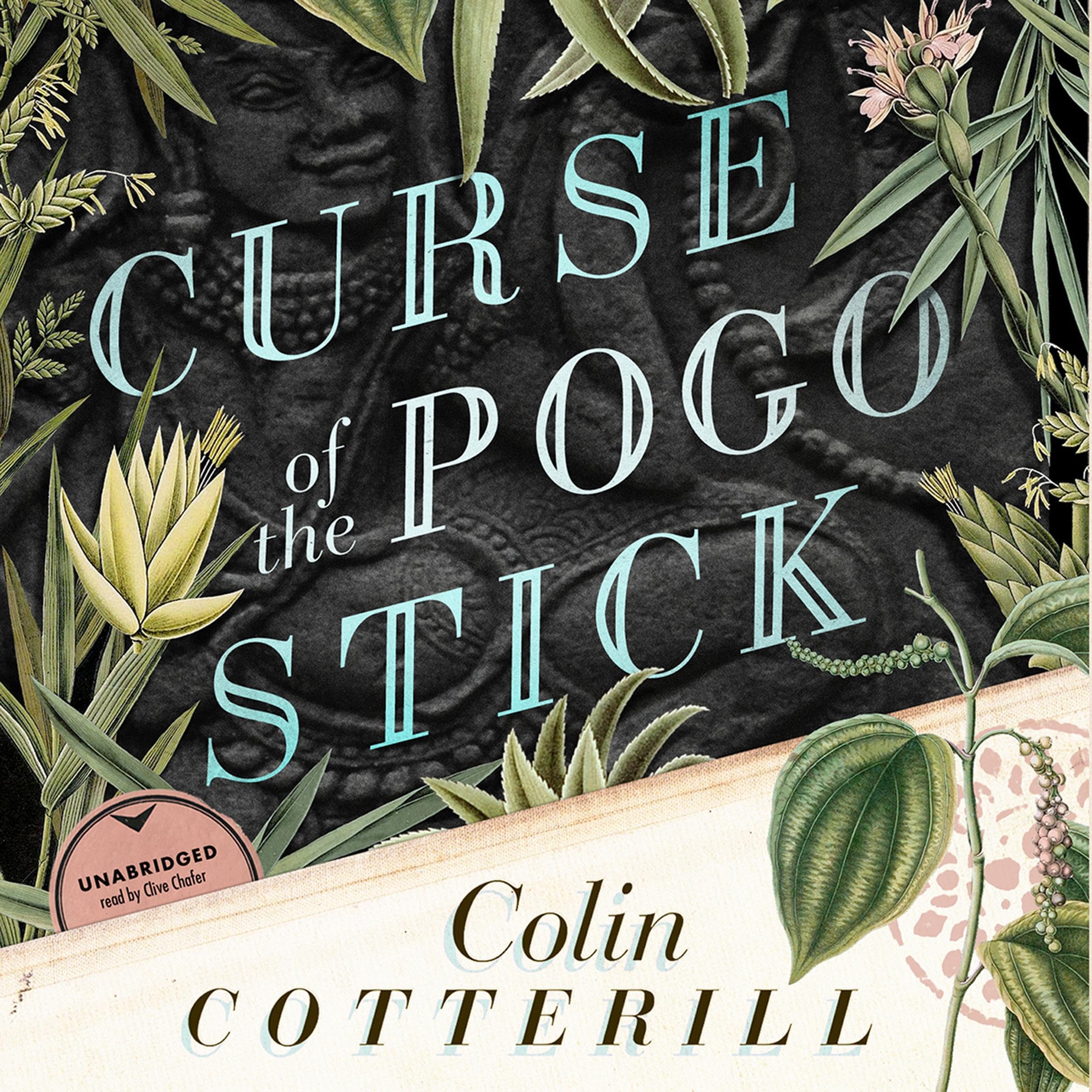 Cover art for Curse of the Pogo Stick