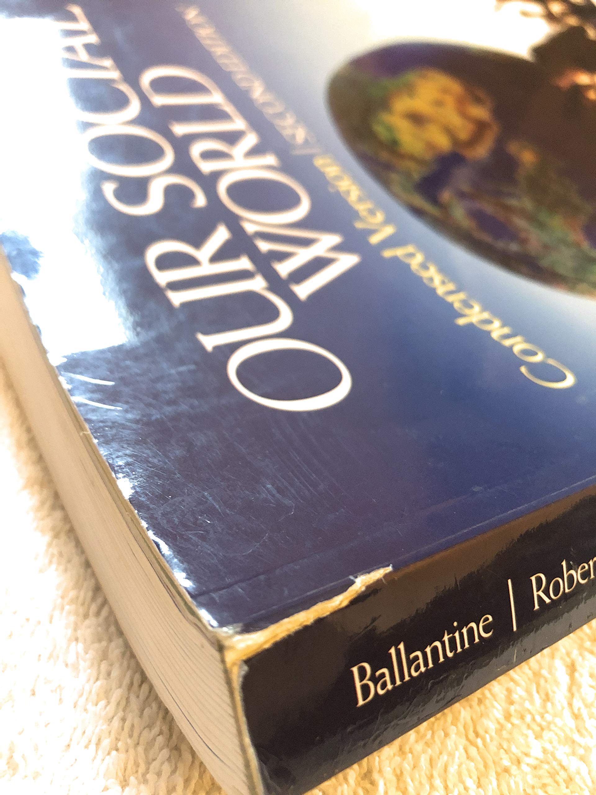 Our Social World: Condensed Version - Image 4