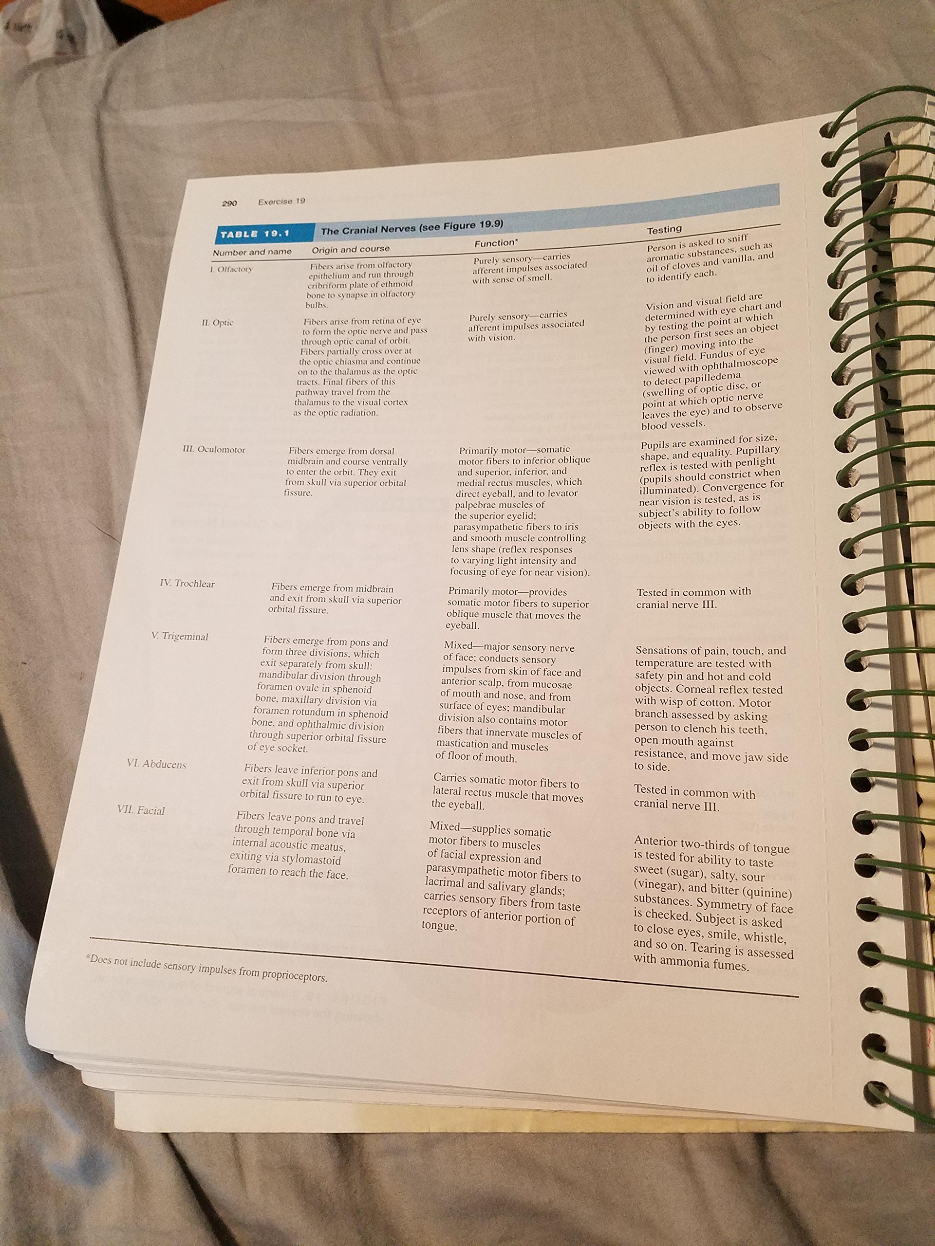 Human Anatomy & Physiology Laboratory Manual, Main Version, Update